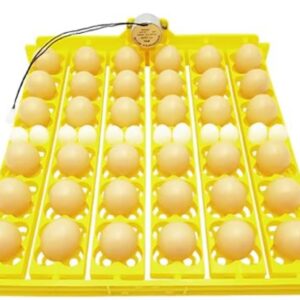 Incubadora Automatica Giratoria Incubacion 36 Huevos Aves