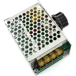 Regulador Voltaje Intensidad Motor Dzs Elec Speeder-ac110v